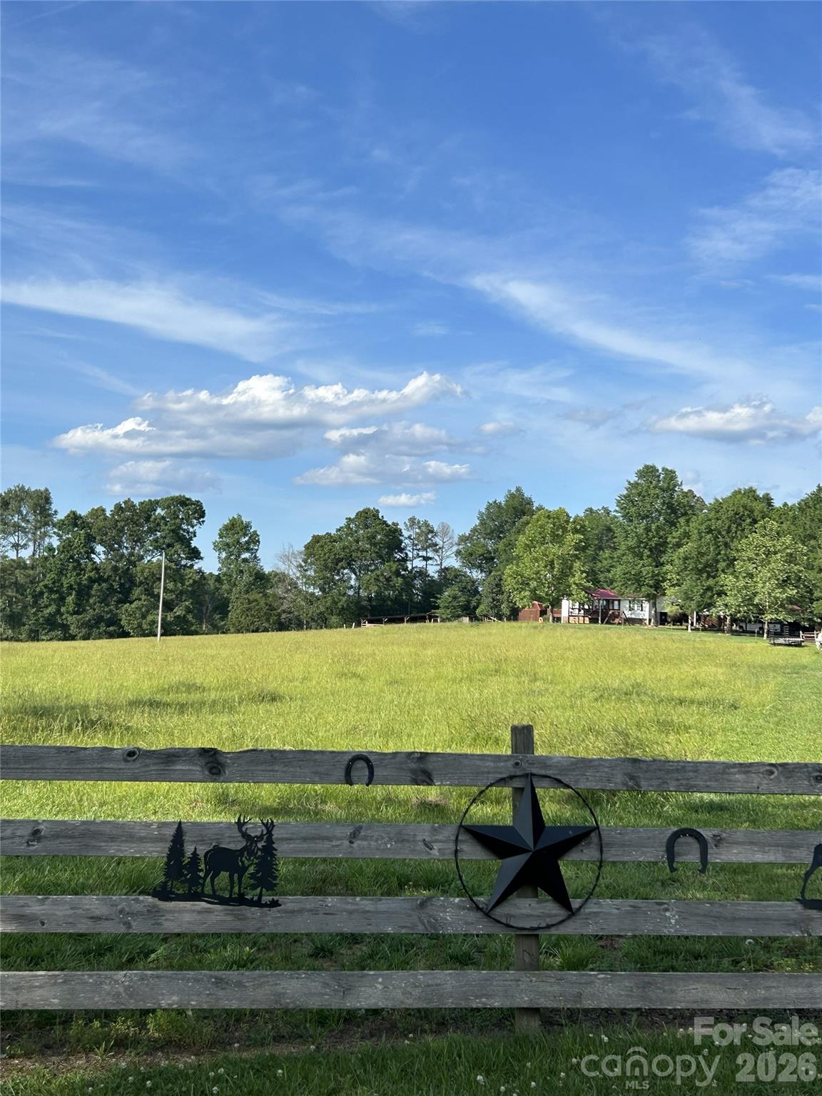 2949 Mineral Springs Church Road, Polkton, NC. property listing photo