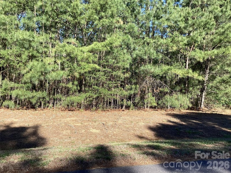 307 Twin Cove Drive Apt 125, Connelly Springs, NC -  - $45,900