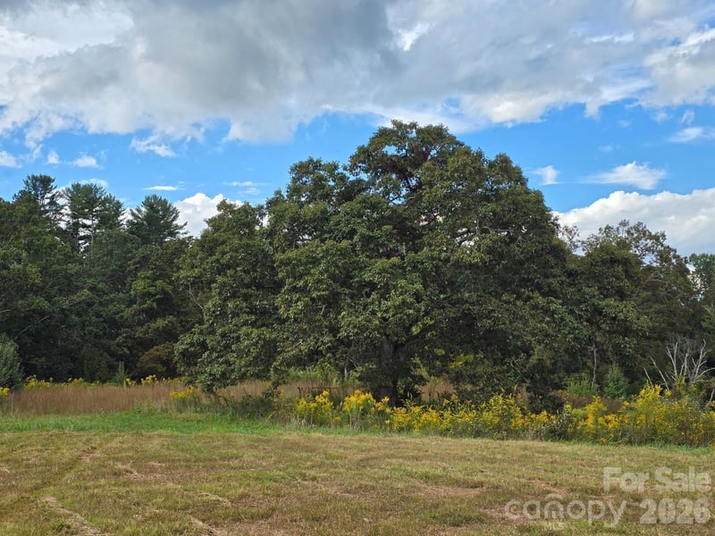 000 Cook Lane 24.87 Acres, Mills River, NC -  - $725,000