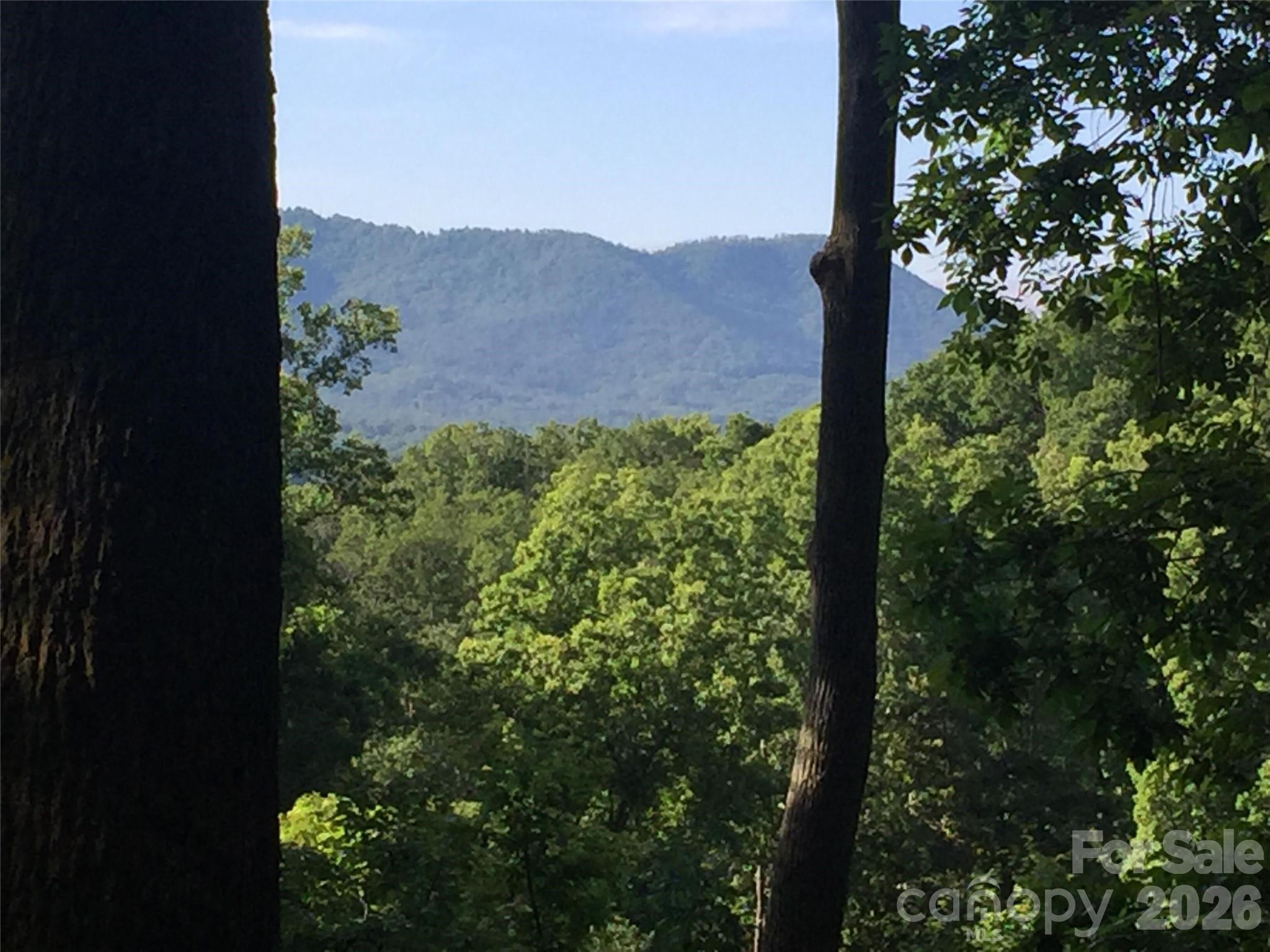 20 La Grange Dr, Asheville, NC 28805. property listing photo