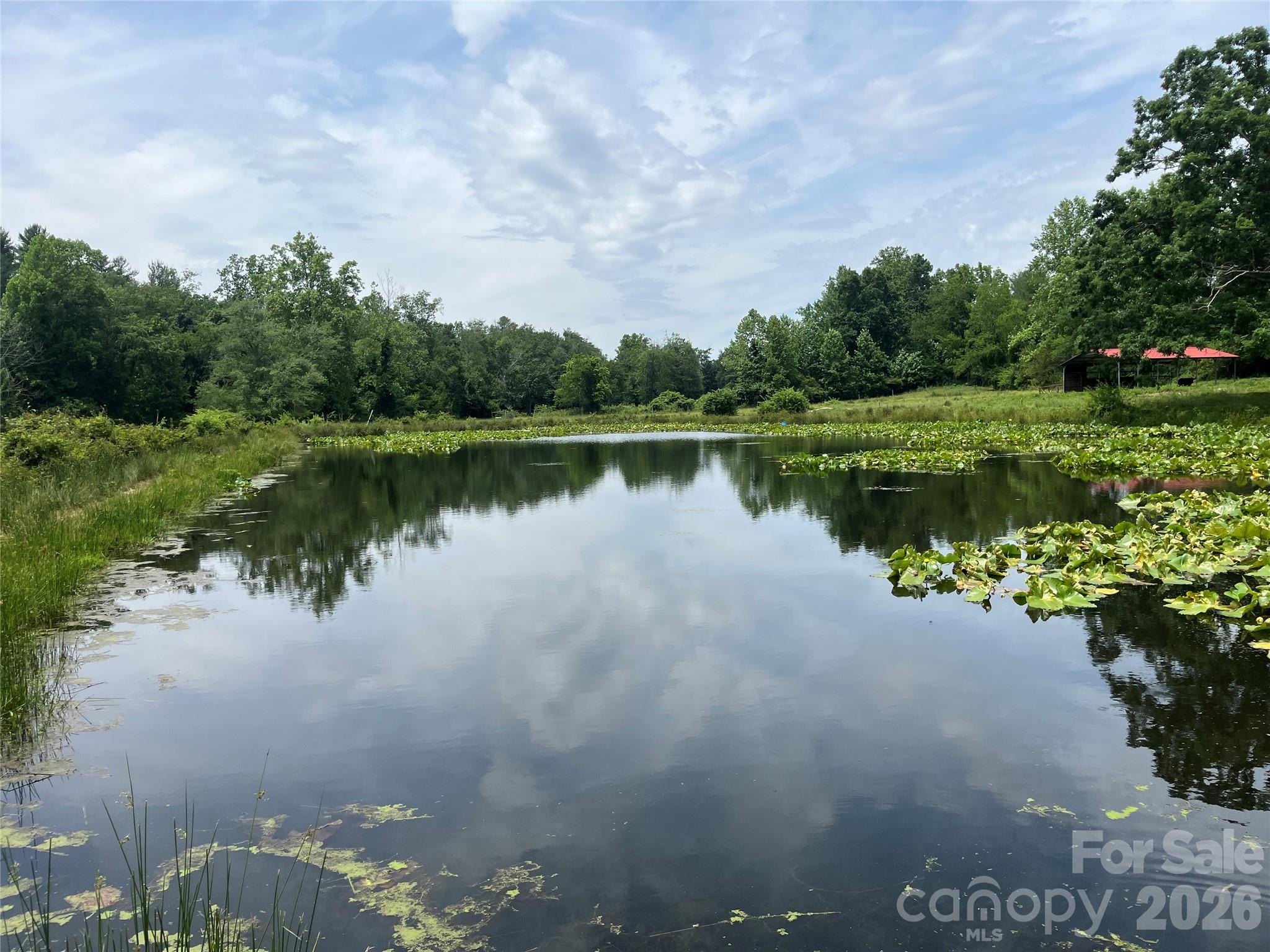 99999 Jones Road, Fletcher, NC. property listing photo