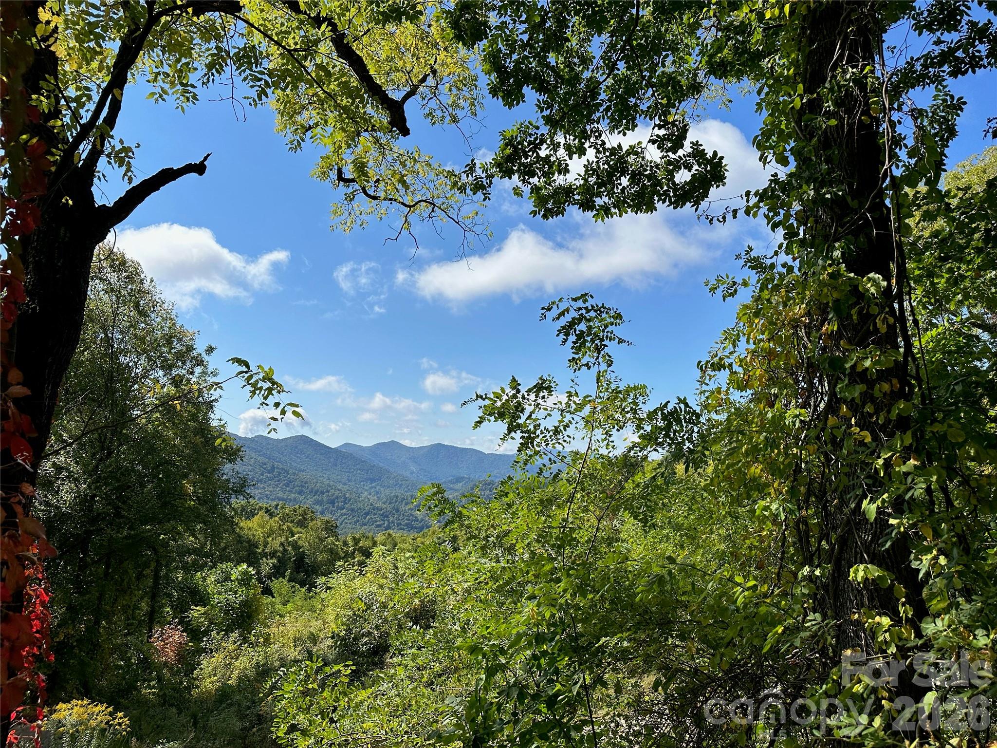 00 High Rock View Drive, Canton, NC. property listing photo
