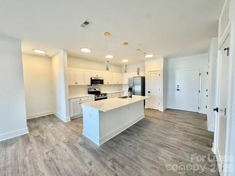 175 W Black Street Apt 307, Rock Hill, SC. property listing photo