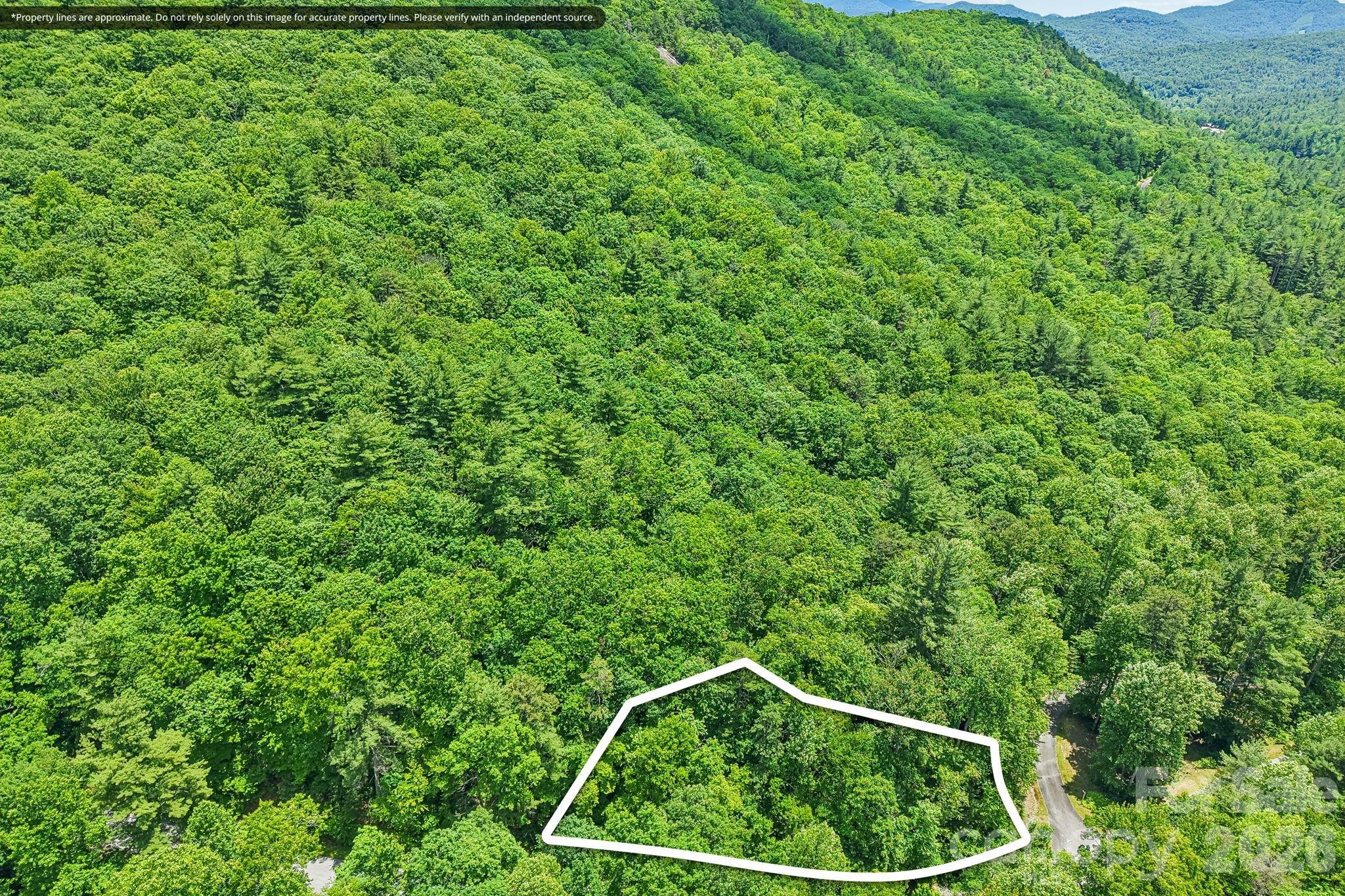 11 Magnolia Branch Drive, Zirconia, NC. property listing photo
