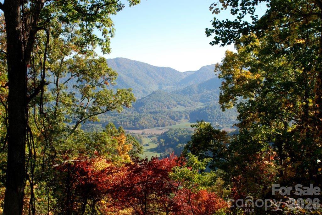 99999 Davidson Gap Road Apt 79, Leicester, NC. property listing photo