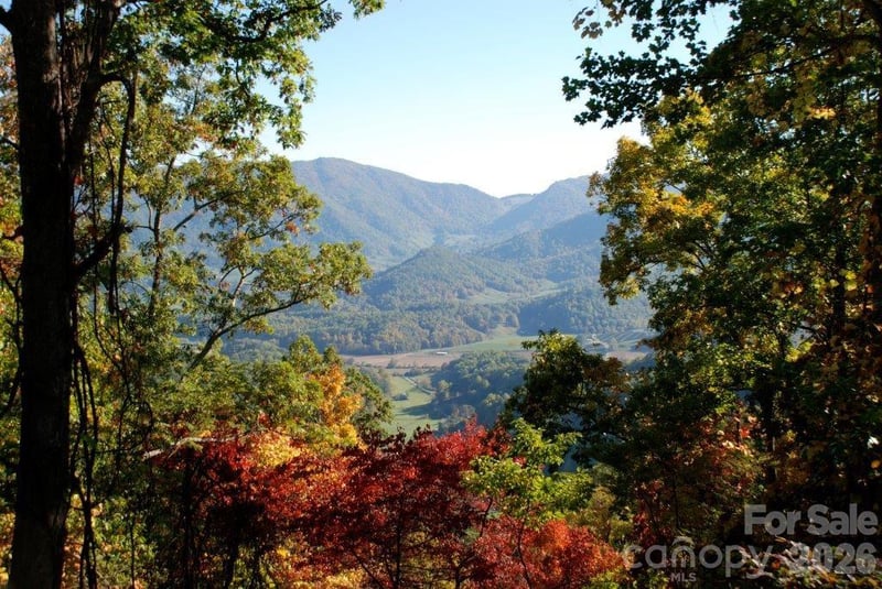 99999 Davidson Gap Road Apt 79, Leicester, NC -  - $199,000