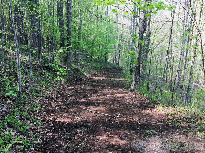 99 Fern Hill Drive, Mars Hill, NC -  - $30,000