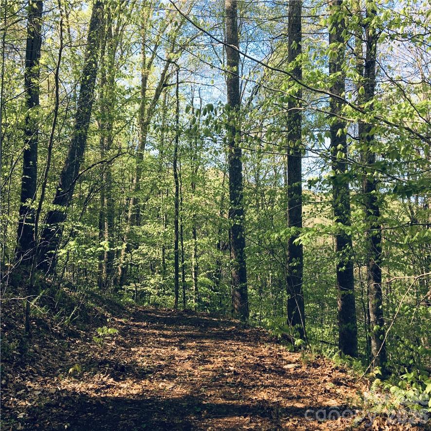 57 Fern Hill Drive, Mars Hill, NC. property listing photo