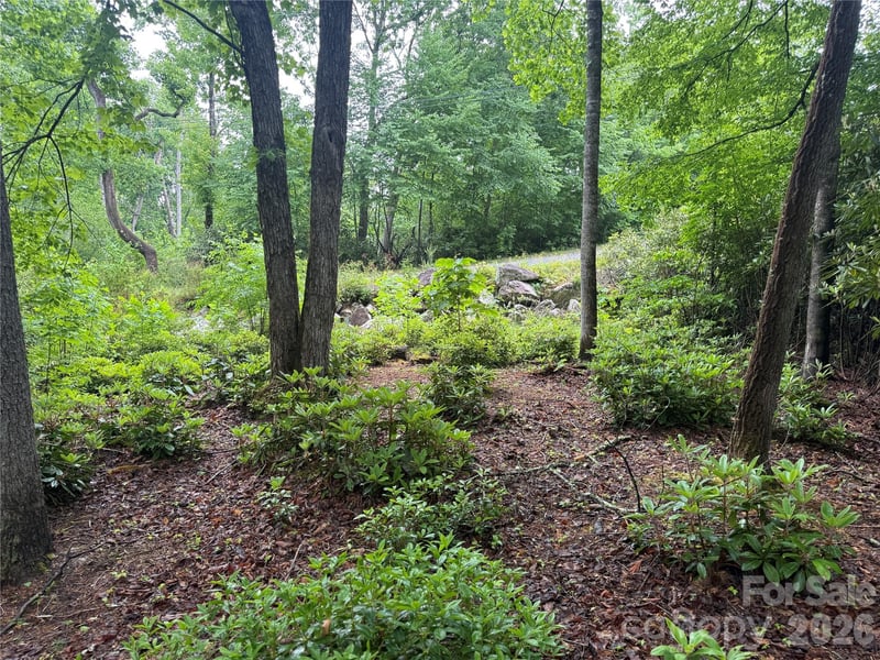 TBD Dogwood Trail, Spruce Pine, NC -  - $34,000