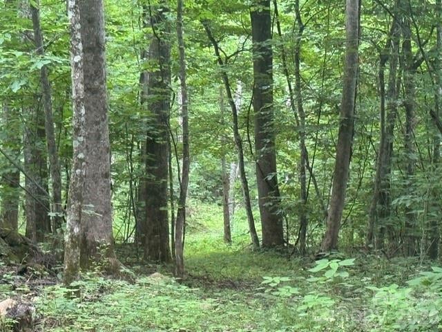 00 Sugar Loaf Mountain Road, Marshall, NC -  - $129,000