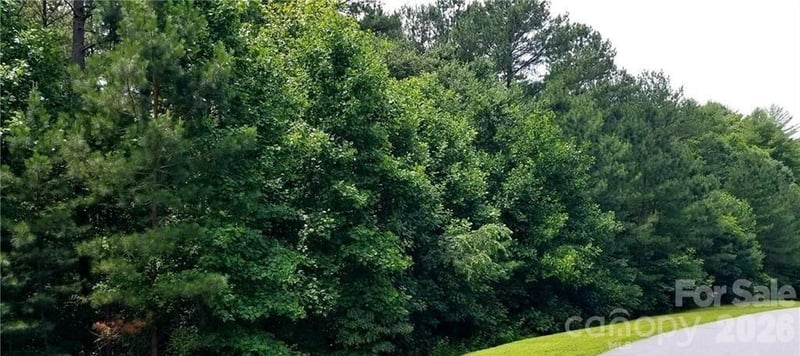 210 Harbor Ridge Drive, Connelly Springs, NC -  - $49,995