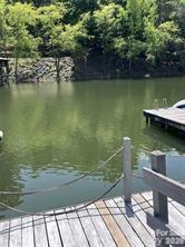 26049 Neptunes Landing, Tega Cay, SC. property listing photo