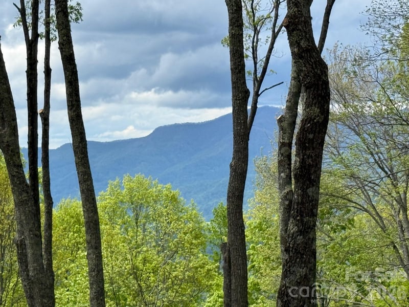 1817 E Reach Road Apt 216, Sylva, NC -  - $795,000