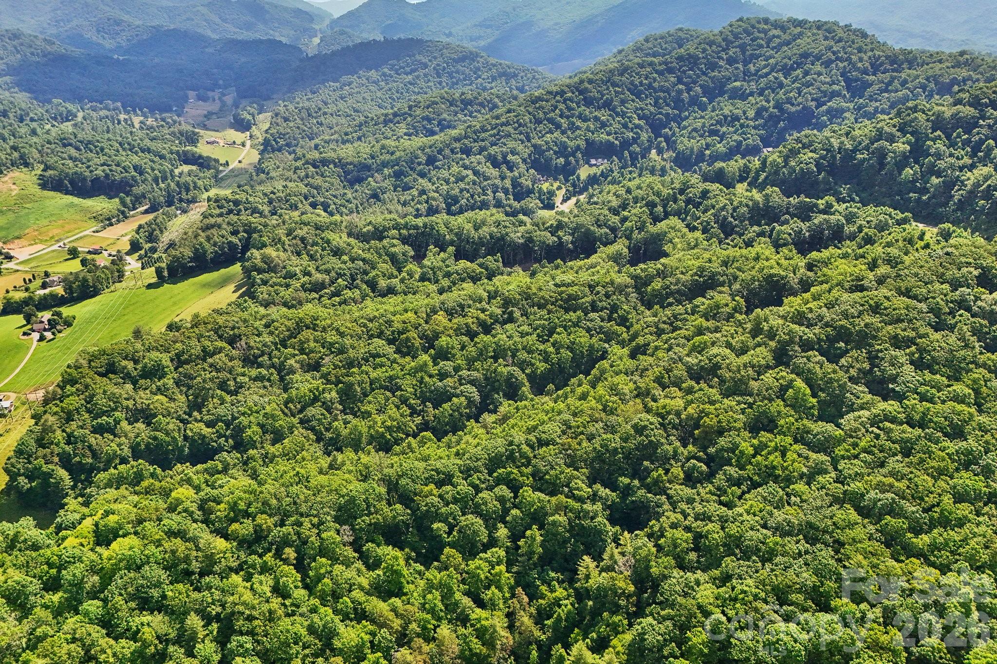 77 Traditions Way, Mars Hill, NC. property listing photo