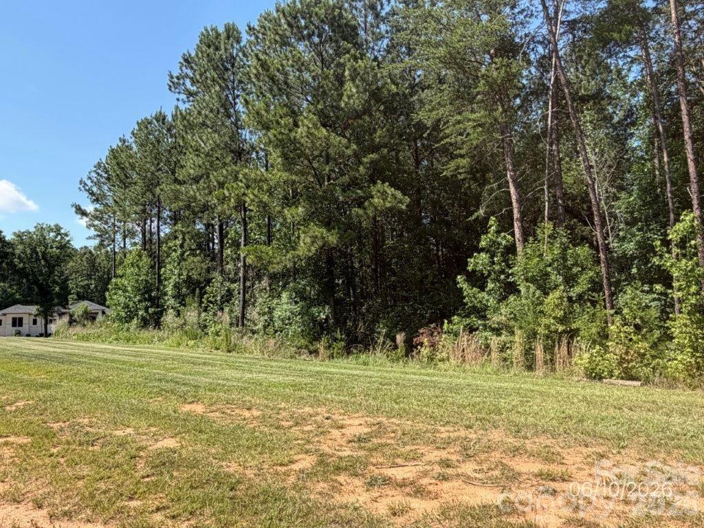 315 Grassy Ridge Court, Clover, SC. property listing photo