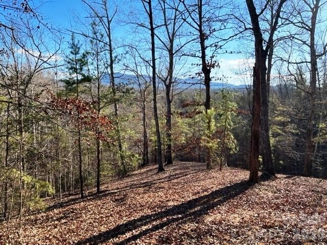 Lot 17-4 N Coast Drive, Mill Spring, NC -  - $84,900