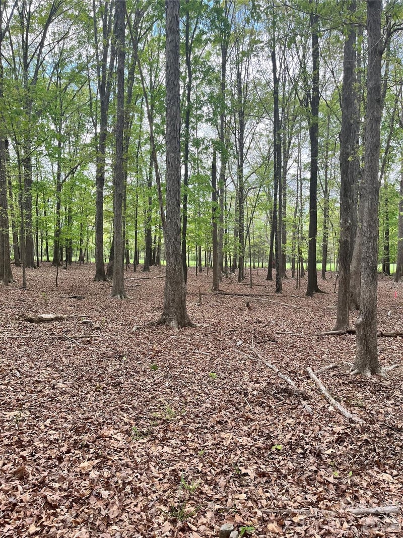 001 Wolf Pond Road, Monroe, NC -  - $295,000