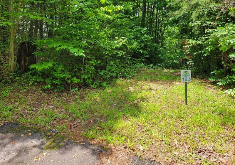 TBD Bear River Lodge Trail 123 &124, Marshall, NC -  - $57,100