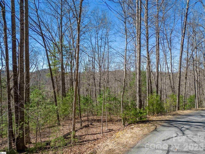 132 Overlook Park Drive Apt 51, Hendersonville, NC -  - $32,500