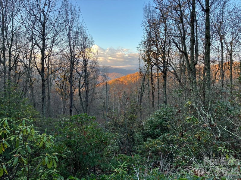 64 Clay View Drive, Fairview, NC -  - $252,500