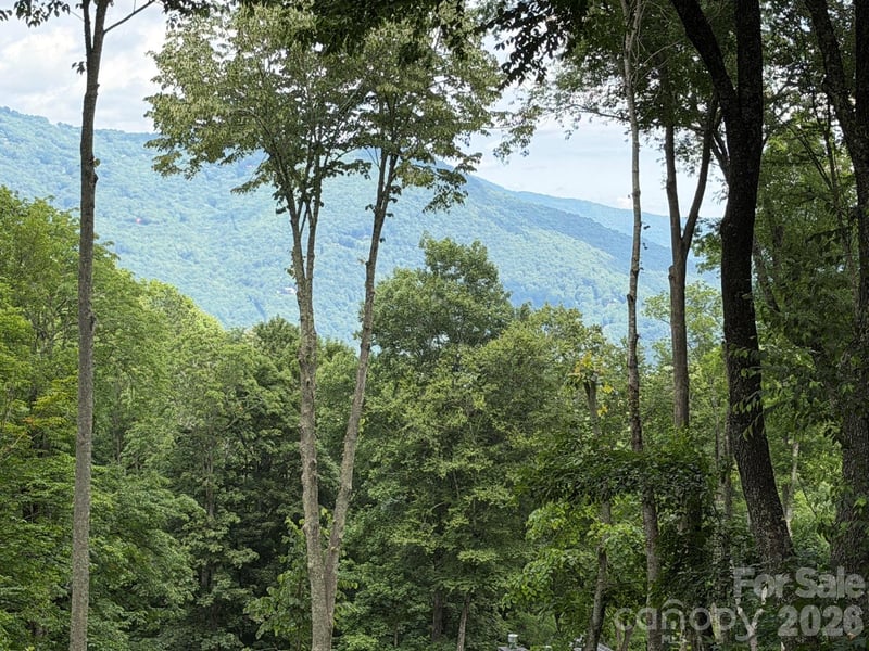 Lot 5 Gadohi Trail Apt 5, Maggie Valley, NC -  - $125,000