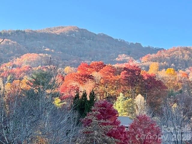 245 Greenview Drive, Maggie Valley, NC - 2 beds, 3 baths, 1,894 sqft - $625,000