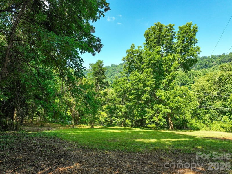 353 Chunns Cove Road, Asheville, NC -  - $175,000