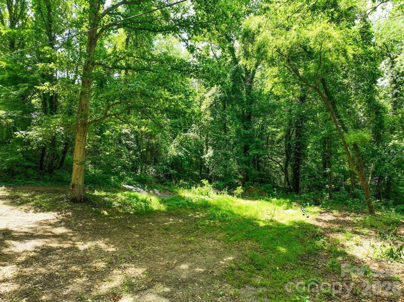 99999 Chunns Cove Road, Asheville, NC -  - $200,000