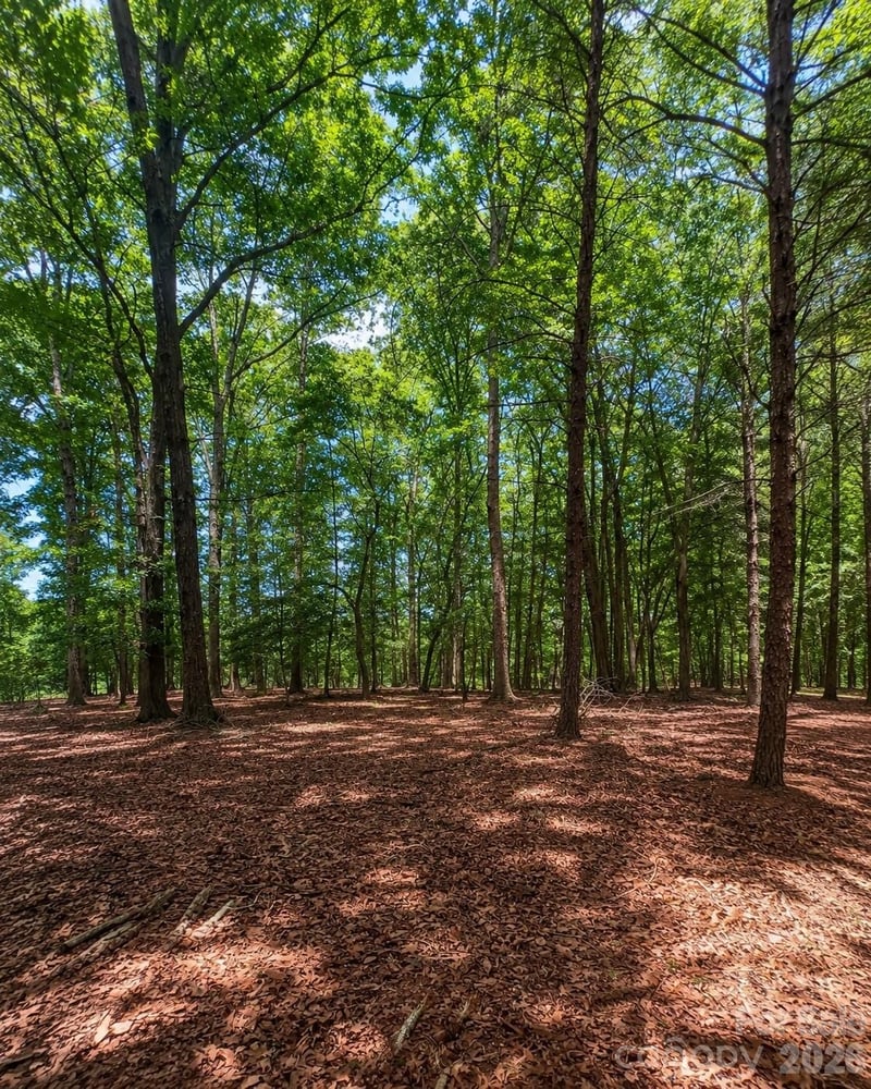 1324 Reflection Pointe Boulevard, Belmont, NC -  - $160,000
