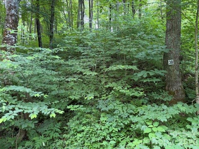 Lot 38 Yanasa Trail Apt 38, Maggie Valley, NC. property listing photo