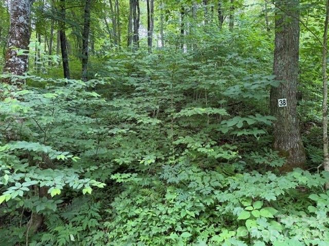Lot 38 Yanasa Trail Apt 38, Maggie Valley, NC -  - $75,659