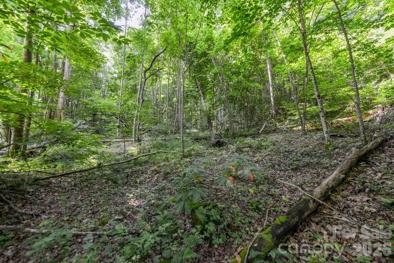 ### Board Tree Road Apt 1, Marshall, NC -  - $51,100