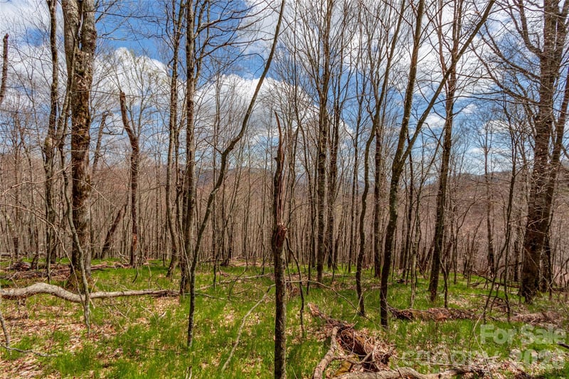 lots 4,5 & 7 Mule Trail Drive, Bakersville, NC -  - $79,000