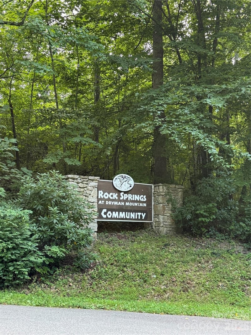 65 Forest Spring Drive, Asheville, NC -  - $100,000