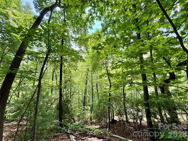 Lot 23 Bear Track Lane Apt 23, Lenoir, NC -  - $245,000