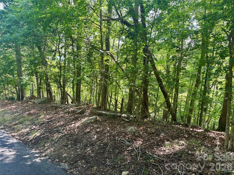 Lot 13 Crab Apple Court, Lake Lure, NC -  - $15,000