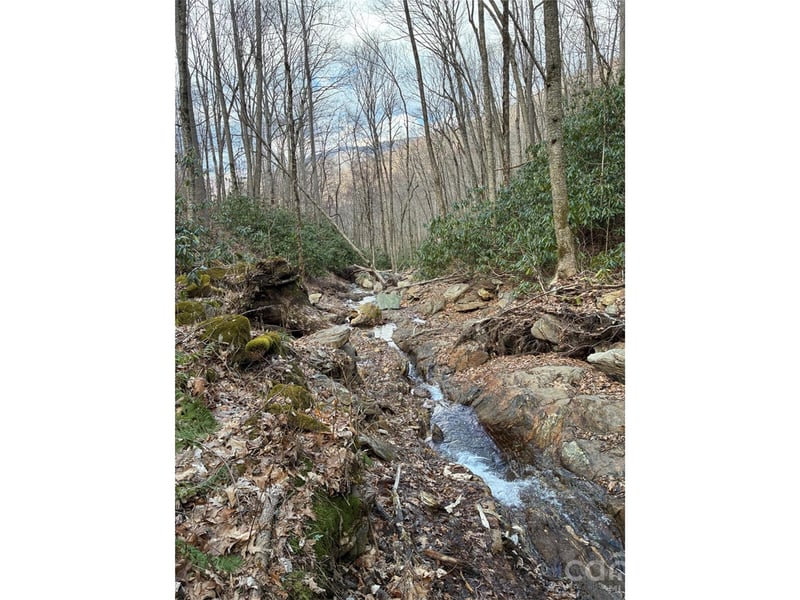000 Ogles Gap Road, Burnsville, NC -  - $135,000