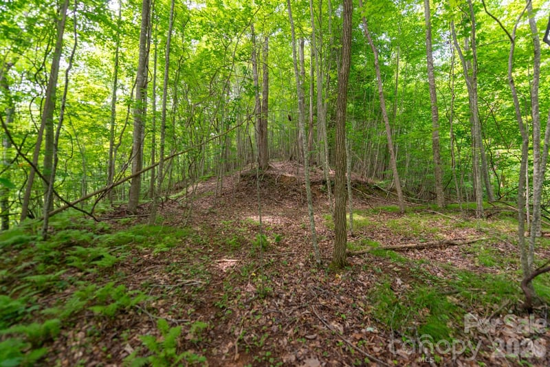 ### Board Tree Road Apt 2, Marshall, NC -  - $50,600