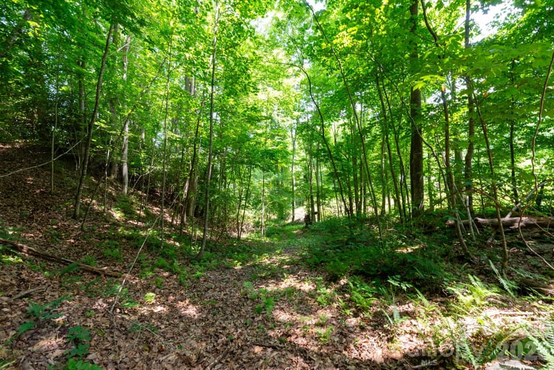 ### Board Tree Road Apt 4, Marshall, NC -  - $51,300