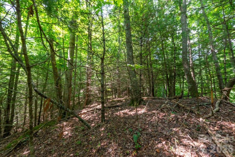 ### Board Tree Road Apt 6, Marshall, NC -  - $89,600