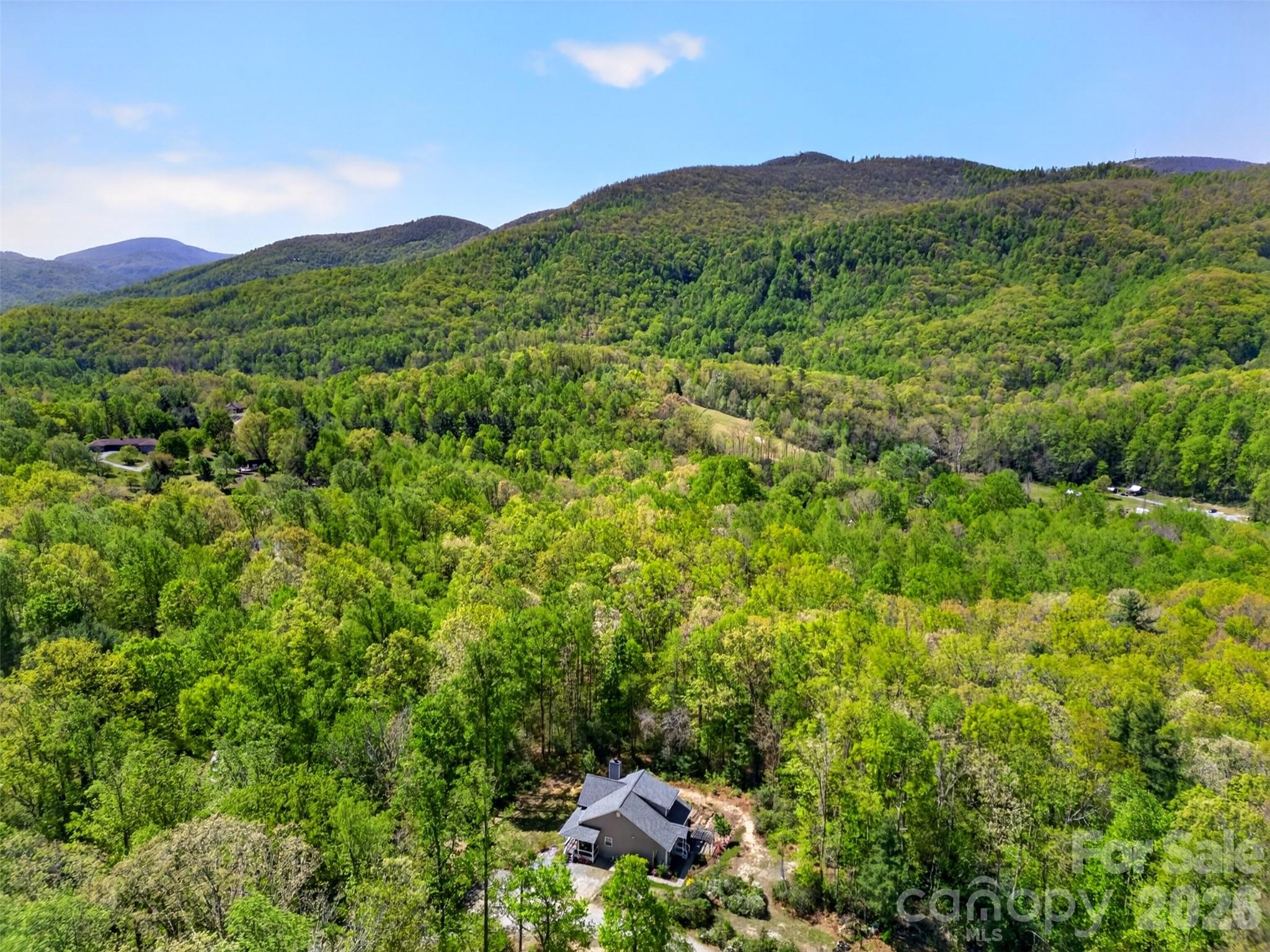 38 Pine Hill Rd, Fairview, NC 28730. property listing photo