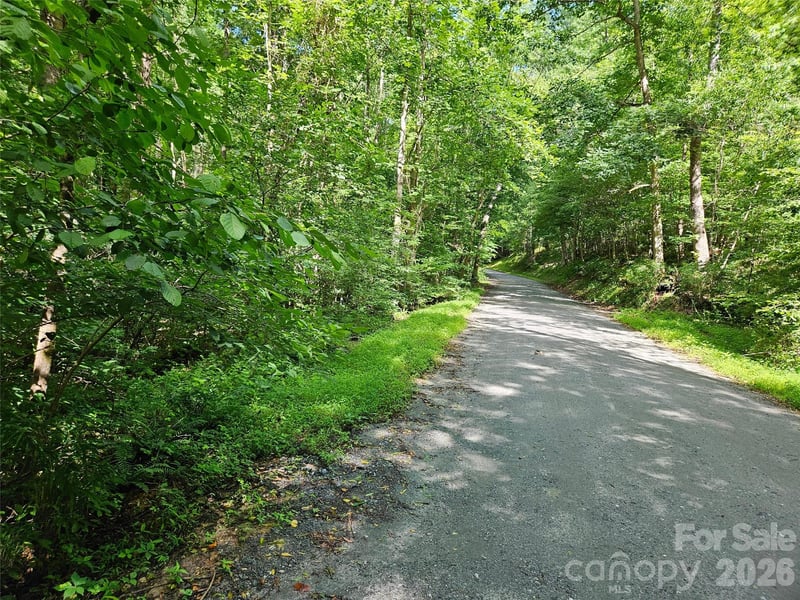 0 Sandpiper Avenue Apt 163, Lake Lure, NC -  - $11,800