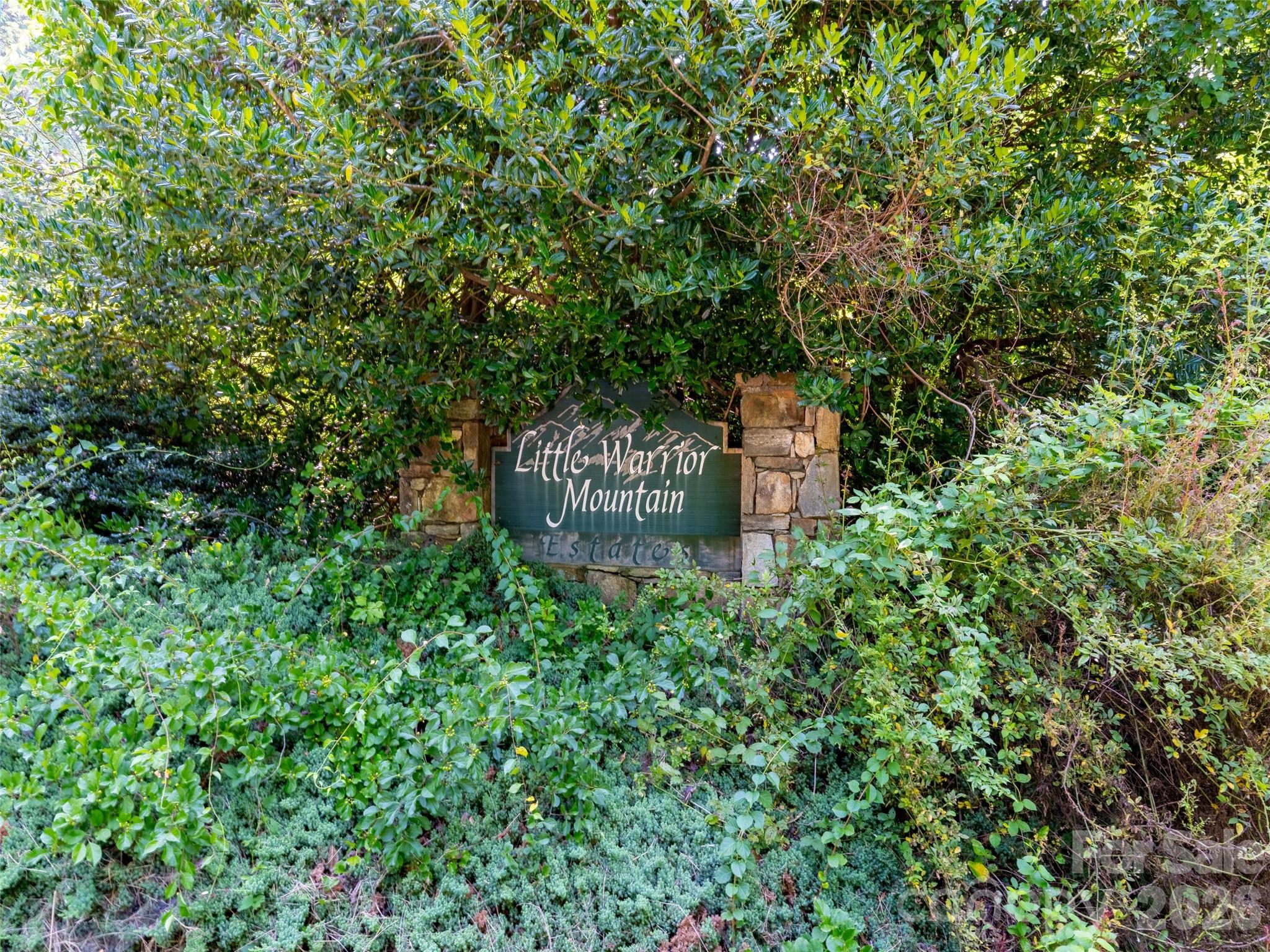 00 Rhododendron Drive 15 & 16, Saluda, NC. property listing photo