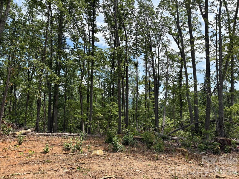 TBD Early Road, Saluda, NC -  - $316,500