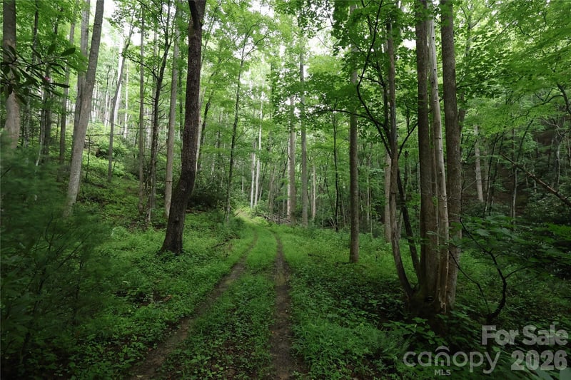 TBD Blowing Rock Road, Lenoir, NC -  - $84,900