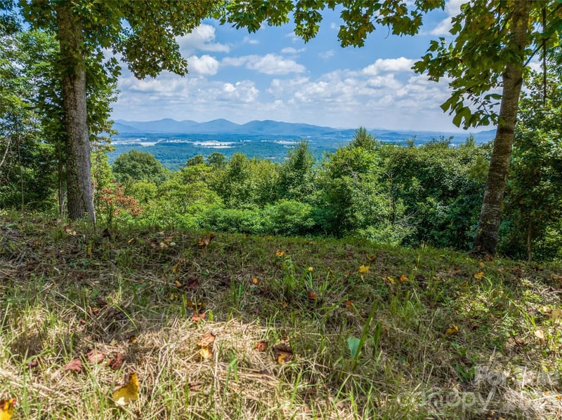 177 Rolling Stone Court Apt 61, Arden, NC -  - $1,650,000