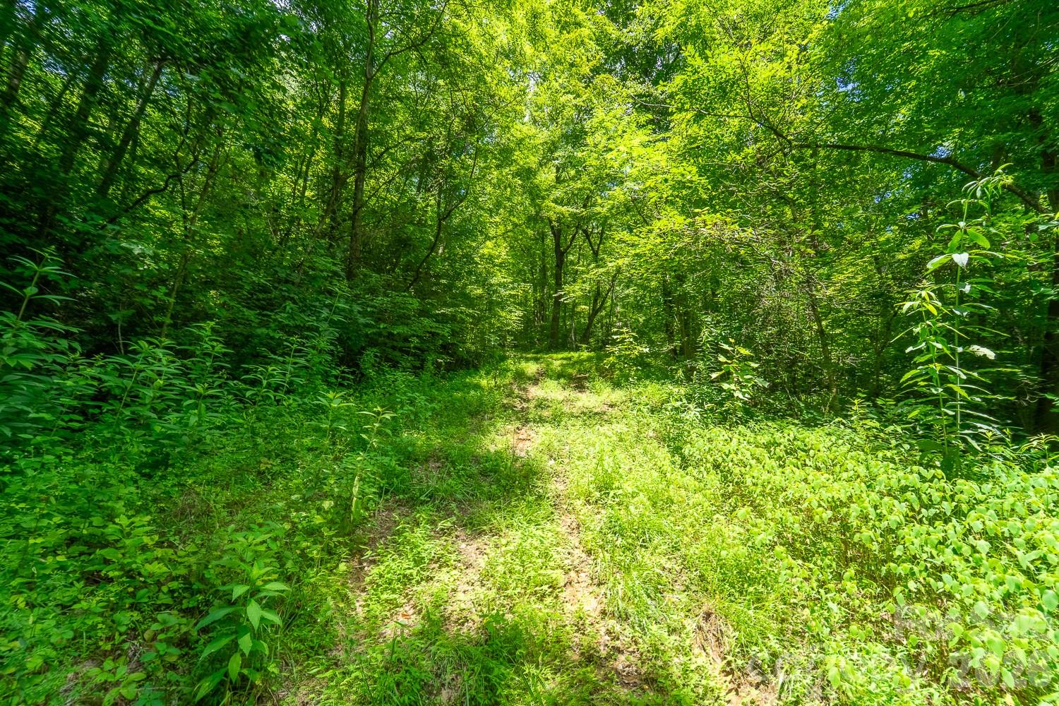 TBD Indian Flats Dr, Sylva, NC 28779. property listing photo
