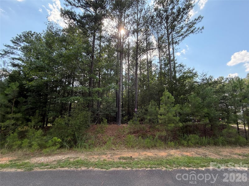 9212 Rustic Creek Trail, Waxhaw, NC -  - $217,500