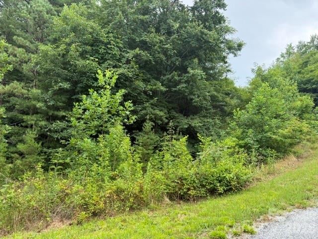12 Silverstone Drive, Hendersonville, NC -  - $25,000