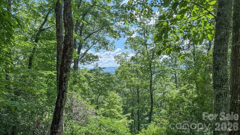TBD Stone Drive L40, Brevard, NC -  - $125,000
